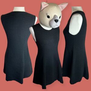 🖤 BANANA REPUBLIC TEXTURED PONTE TANK DRESS FIT & FLARE BLACK MEDIUM PETITE